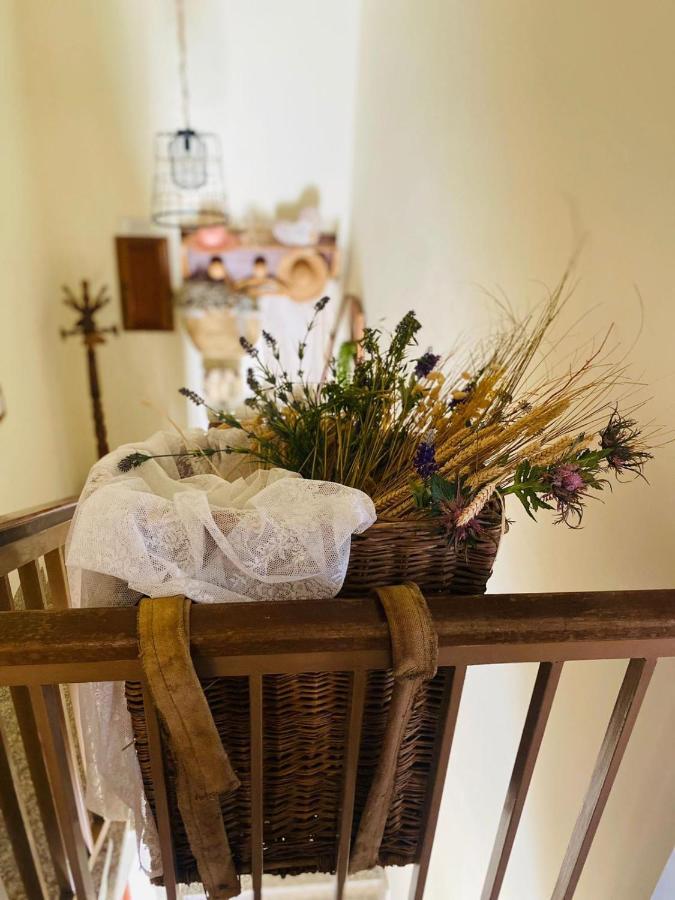 Anticacascina Bed and Breakfast Quarto  Eksteriør billede