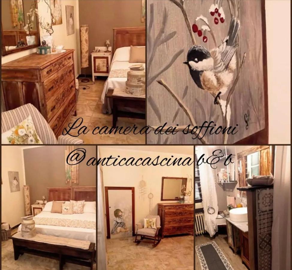 Anticacascina Bed and Breakfast Quarto  Eksteriør billede
